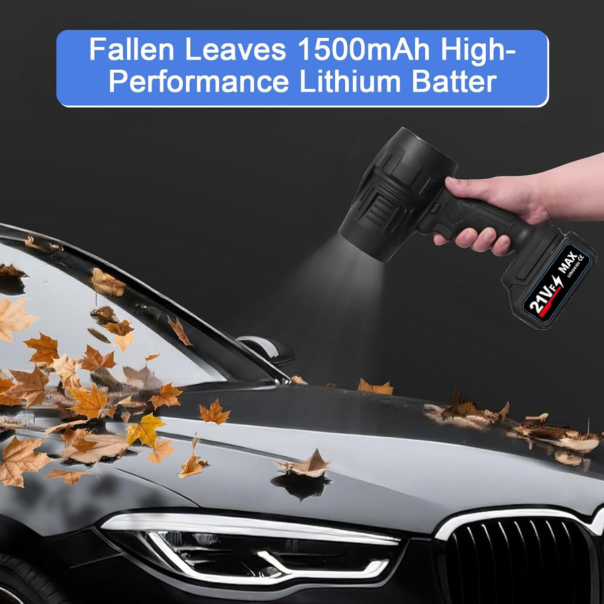 Jet Blower with Charger & 2 x Battery